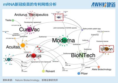 中國本土mRNA技術 差距、突破與未來之路