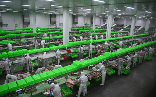 內鄉牧原食品城正式投入運行 一期投資5億元，年屠宰加工200萬頭生豬，推動生物技術開發